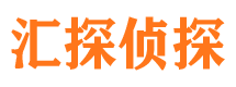 丁青寻人公司